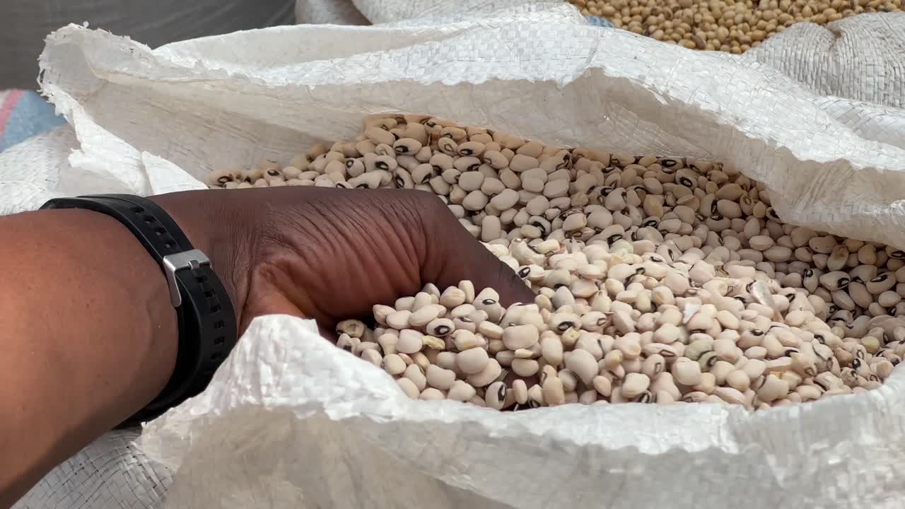 Beans are a nutrient-rich food packed with protein, fiber, vitamins, and minerals providing essential nutrition and supporting a healthy balanced diet