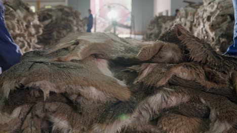 animal hides being stacked in a industrial leather production warehouse