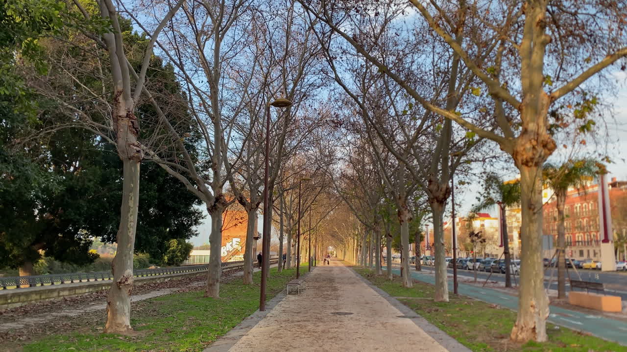 Urban path along the river in Seville during autumn, with bare trees creating an avenue and a bright bike lane