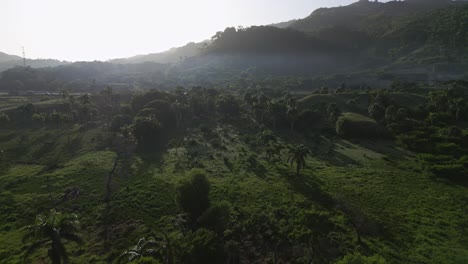 Sobrevuelo-Aéreo-Vegetación-Tropical-Con-Palmeras-Y-Luz-Solar-Detrás-De-Las-Montañas---Provincia-De-Puerto-Plata,-República-Dominicana