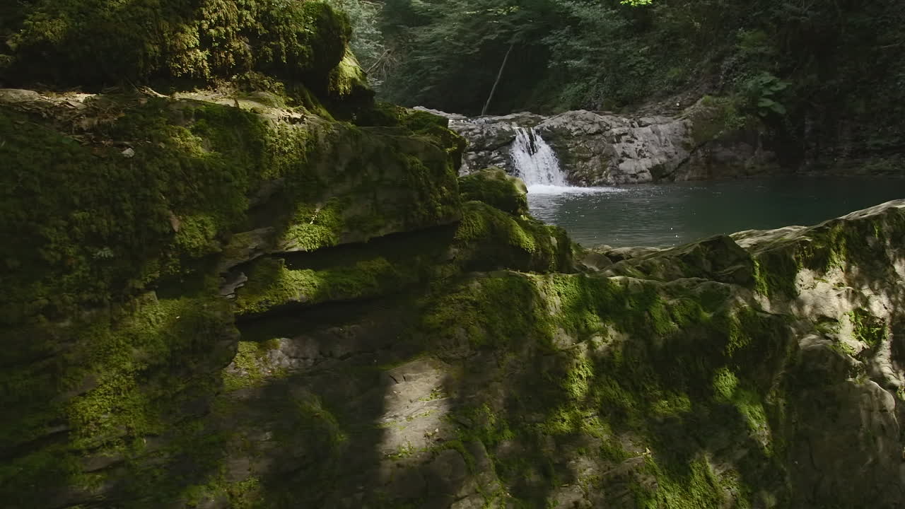 cascada forestal y arroyo