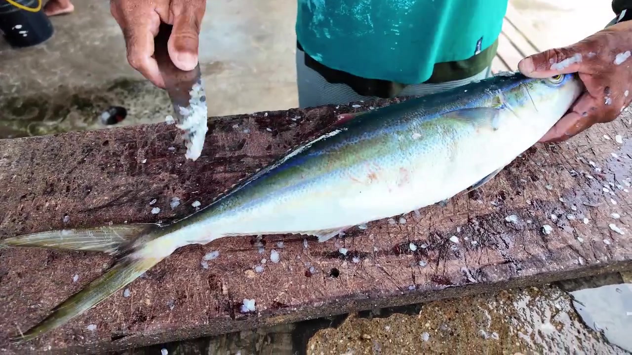 Person scaling a fresh fish on a wooden table at a rustic seafood market setting