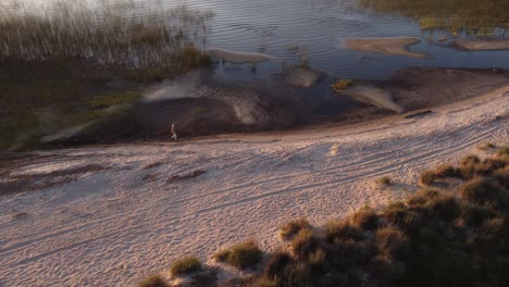 vista aérea de una persona caminando en una playa de arena cerca de una laguna con césped e islas durante la puesta de sol en la naturaleza - laguna negra en uruguay, sudamérica