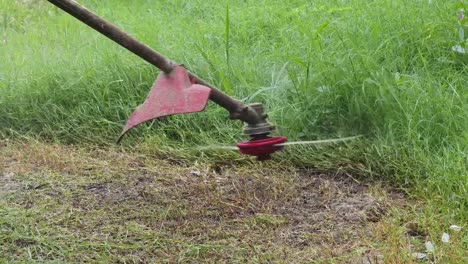 mowing the lawn