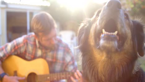 Mann-Mit-Seinem-Hund-Spielt-Gitarre-Im-Garten-4k