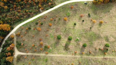 aerial view of a countryside landscape with path and trees