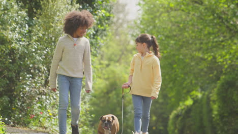 two children walking pet french bulldog dog along country road