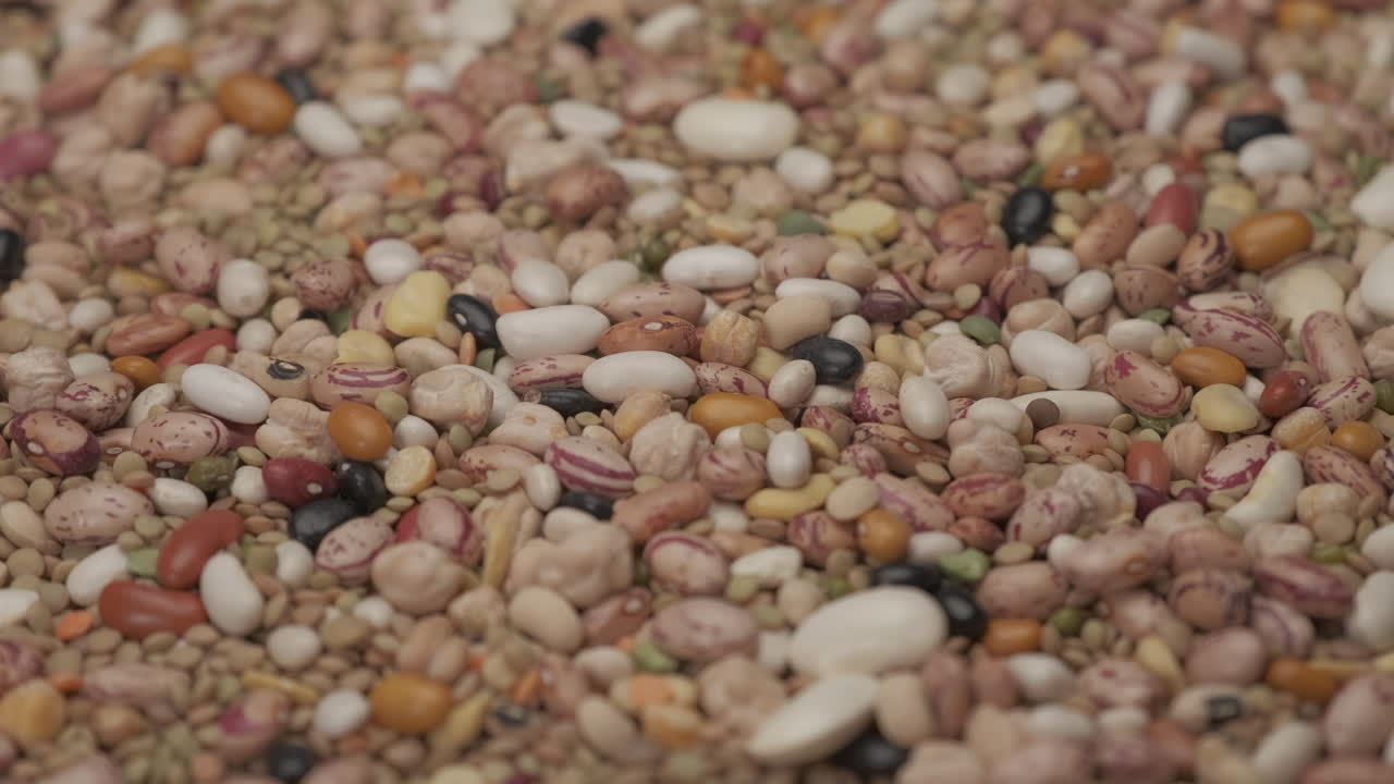 혼합 마른 콩 콩류 회전, 완전 채식주의 자 음식 단백질 공급원