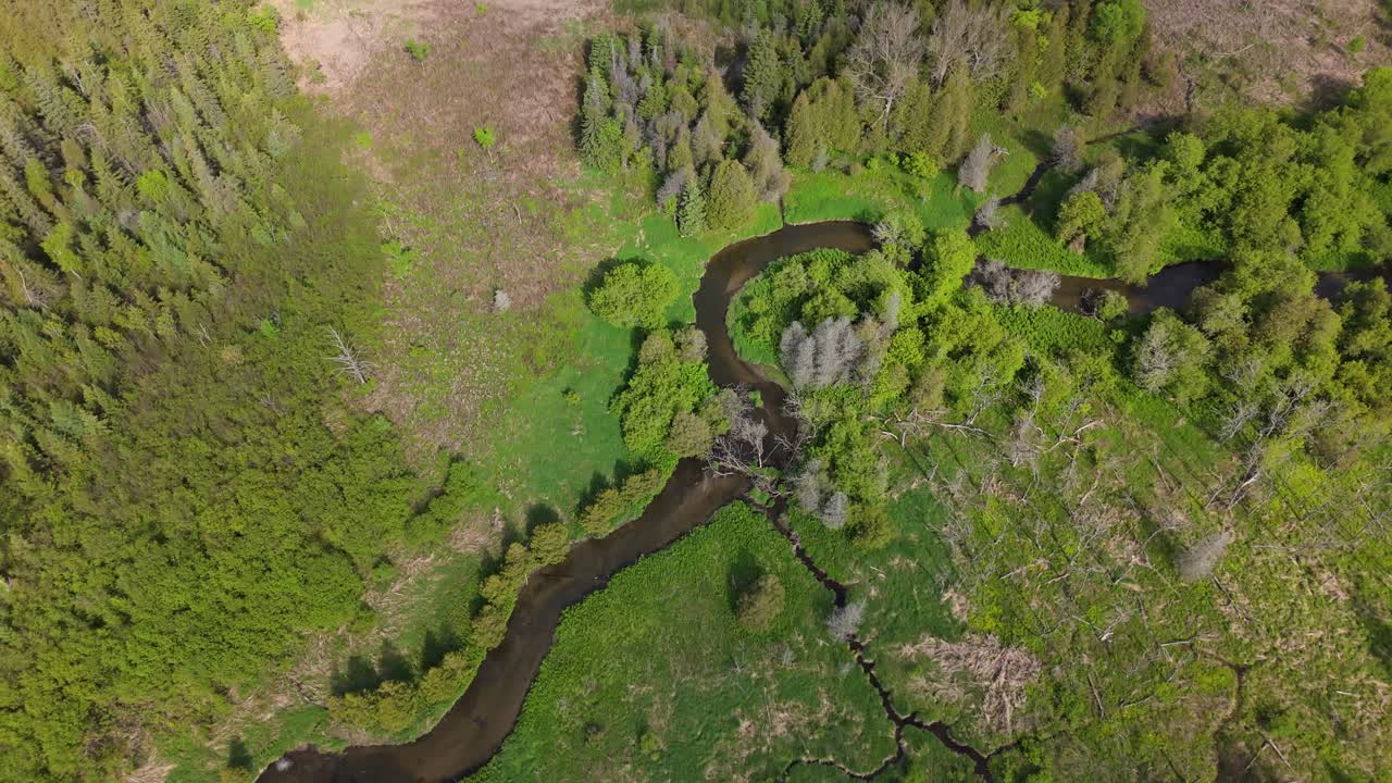 Aerial top shot overview of dense green forest canopy in Caledon, Ontario, during summer, meandering river between trees