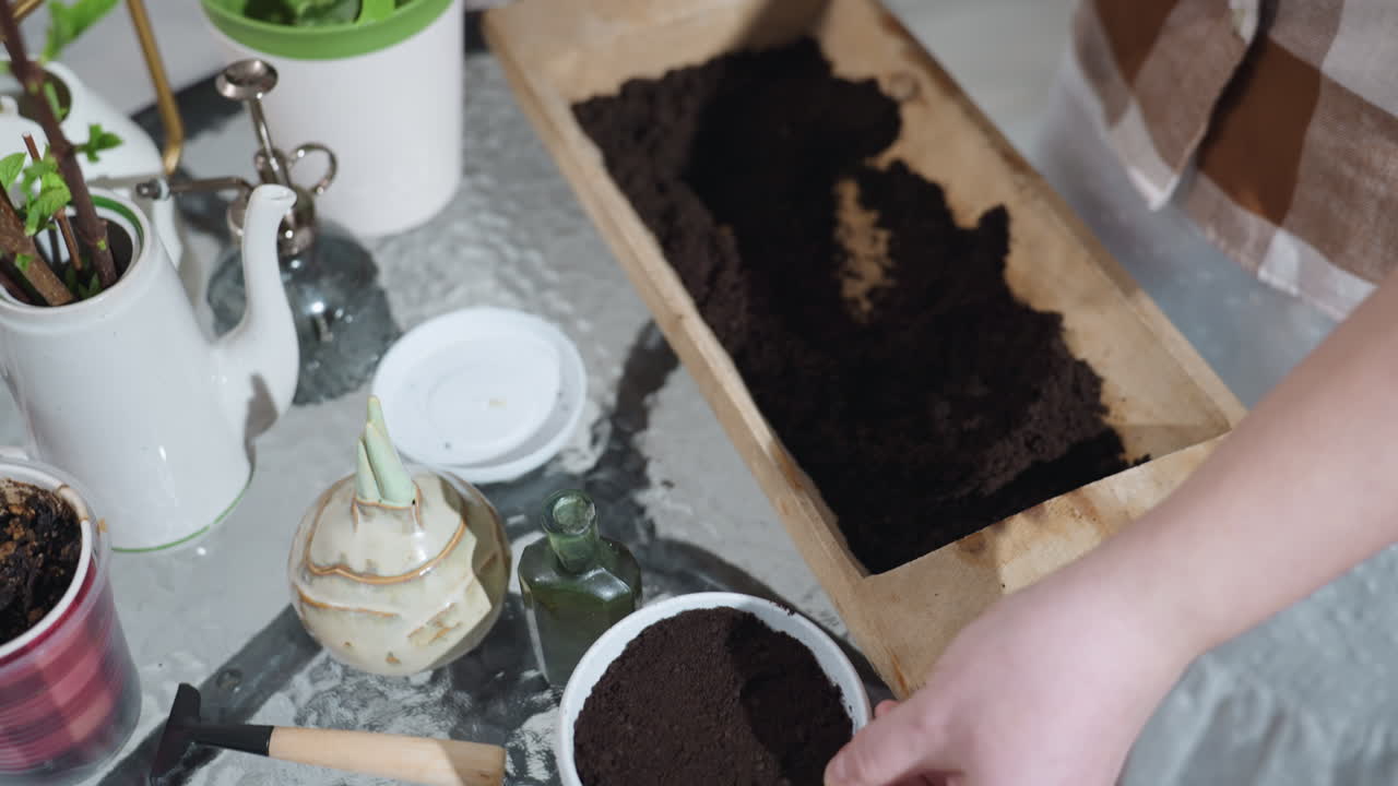 High angle careful hands pressing soil into plastic planter with scoop, close up of rich dark potting soil on cozy modern glass table with indoor plants and tools under natural light