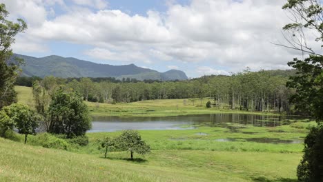 lush greenery and serene water bodies in nature