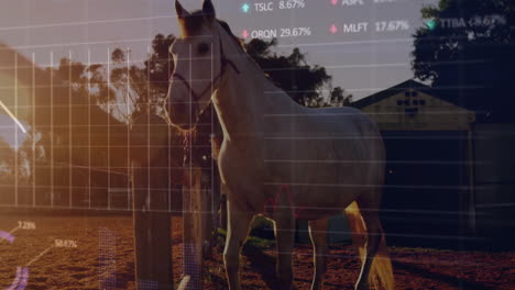 light horse standing beside wooden fence posts with financial charts overlaying sunset farm scene