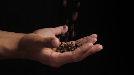 roasted coffee beans falling to hands with black background, slow motion