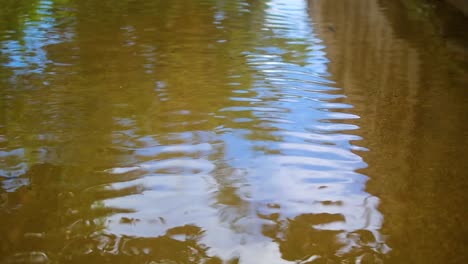 close up of water flow after receding from floodwater