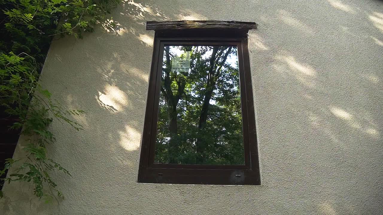 나무 프레임과 숲 환경의 아름다운 relfection의 큰 창