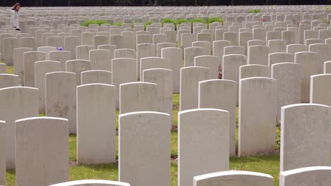 a woman in a white coat looks at headstones of the etaples france world war cemetery military graveyard