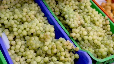 baskets brimming with plump green grapes capture attention in a lively marketplace. the vibrant colors create an inviting atmosphere, attracting fruit lovers and shoppers alike