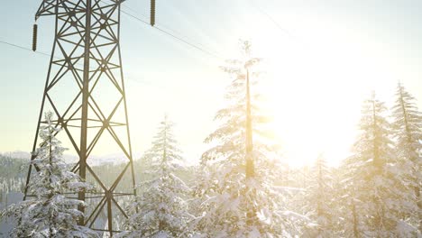 Electric-Line-at-Sunrise