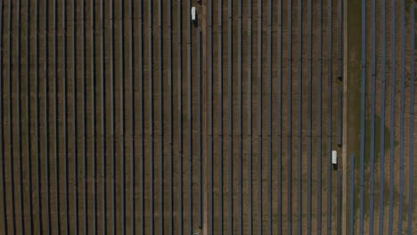 Long-rows-of-solar-cells-above-grass.-Top-down-shot-of-large-solar-park.-Green-energy,-ecology-and-carbon-footprint-reduction-concept