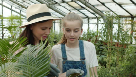 family time in a greenhouse