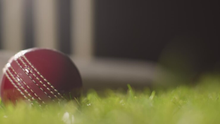 Natura morta di cricket con primo piano di palla e mazza adagiate sull'erba davanti ai paletti
