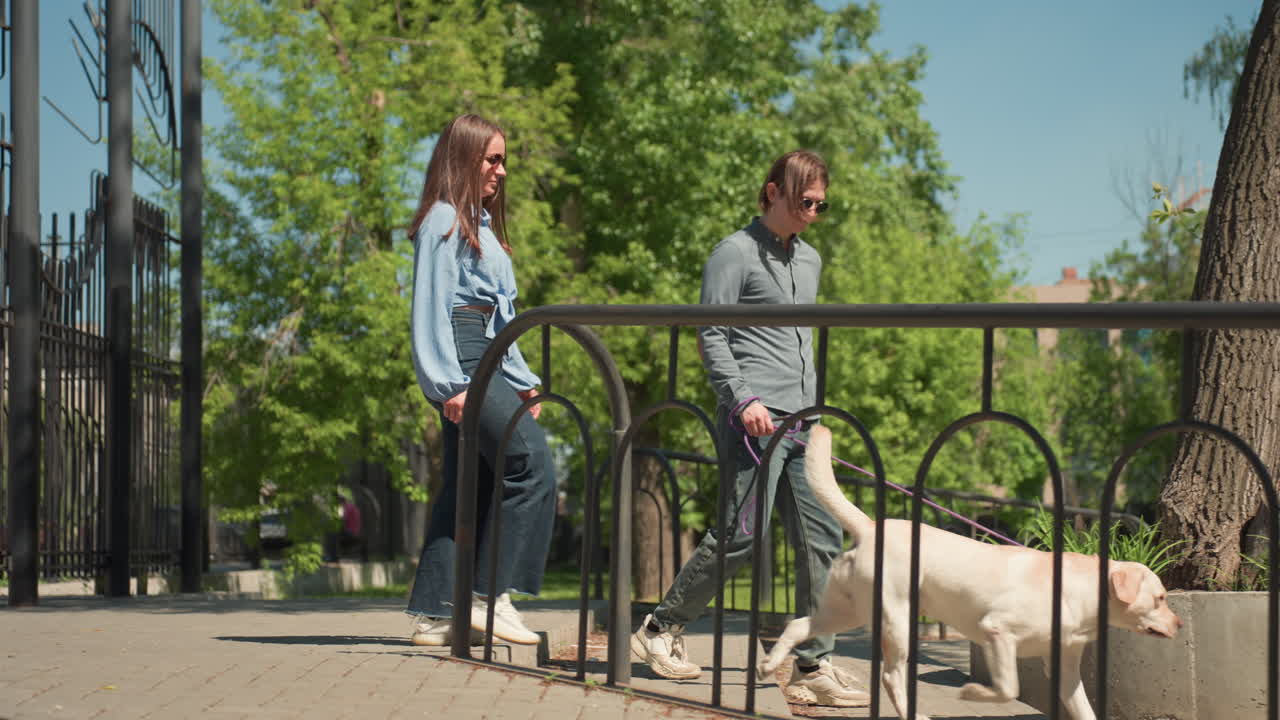 hombre paseando a un perro, individuo paseando tranquilamente a un labrador por la puerta del campo en una tarde soleada, hombre caminando solo y guiando con seguridad al labrador más allá de la puerta en medio de una exuberante vegetación y un sol brillante