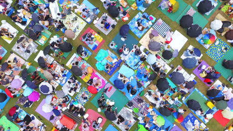 people watching music performances in the park, drone boom up and rollong
