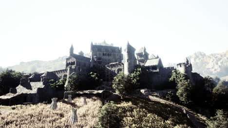 ancient stone fortress in a mountain valley