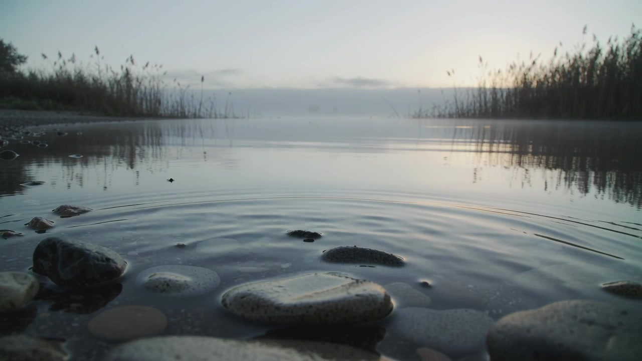 Sending smooth wet stones and water forming concentric ripples after small disturbance, lakeshore