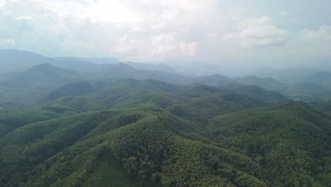 Rubber-Tree-Plantation-Illegal-Deforestation-National-Park-Real-Forest-and-Monoculture,-Southern-Thailand-Yala-Betong