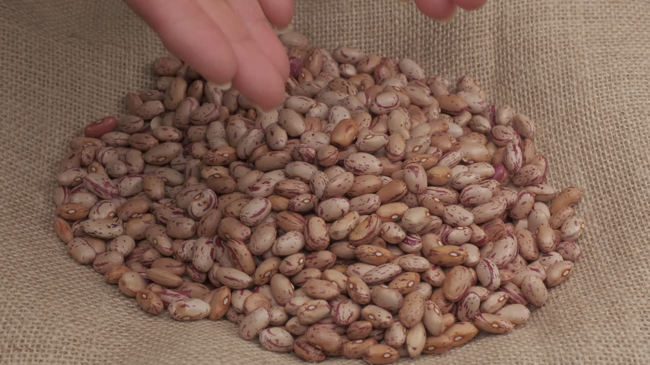 Organic agriculture hand giving dry red beans legumes healthy nutritious Mediterranean food