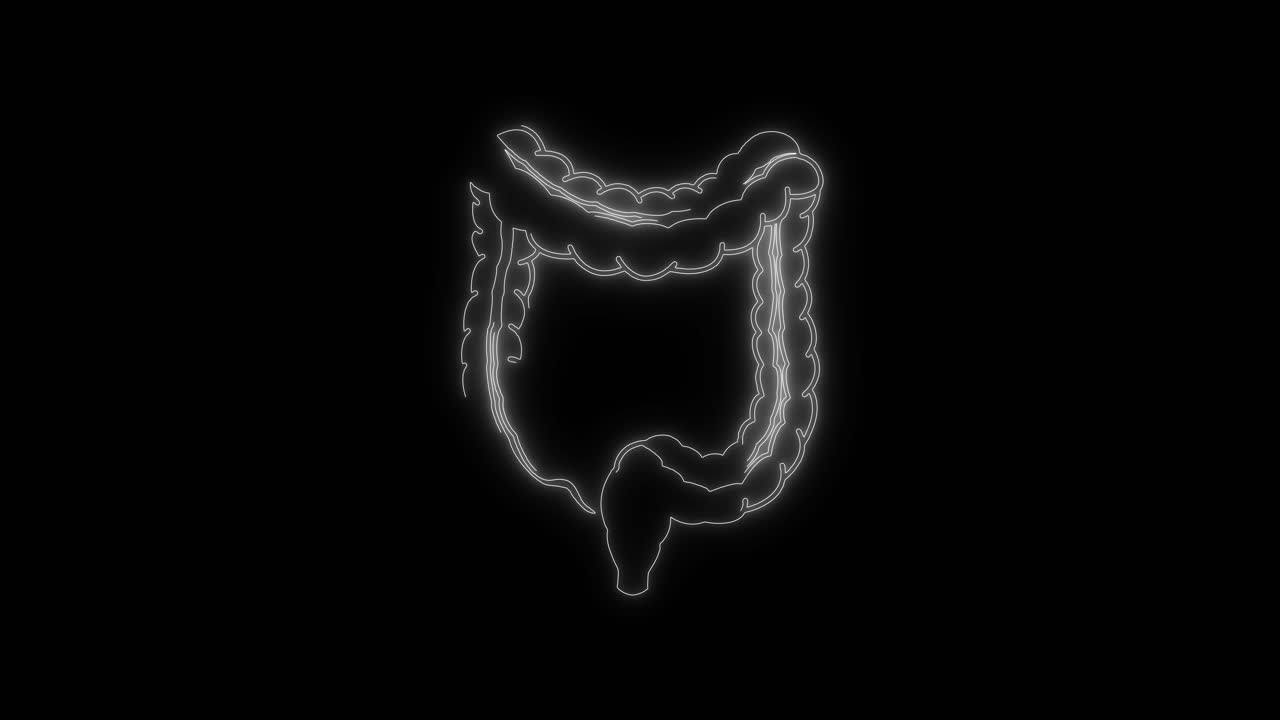 Contorno luminoso animato dell'intestino crasso umano su sfondo nero