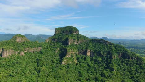 aerial view of national park colombia - serranía de chiribiquete national natural park