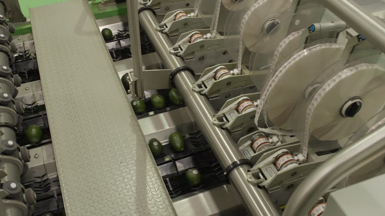 우루아판 미초아칸의 보카도 포장소에 우표 기계