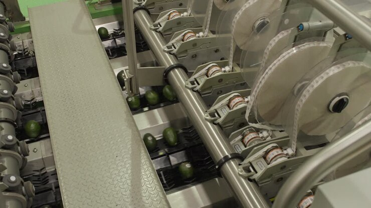 STAMP MACHINE ON A VOCADO PACKING HOUSE IN URUAPAN MICHOACAN