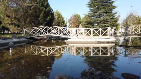 puente de madera blanca sobre estanque ornamental en el parque