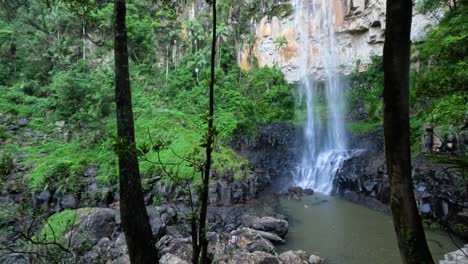 waterfall cascading in lush green forest