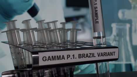 gama p
