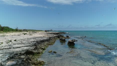 Schnelle-Luftdrohne-Am-Sonnigen-Tag-Von-Palm-Island-Beach,-Libanon,-Zurückziehen