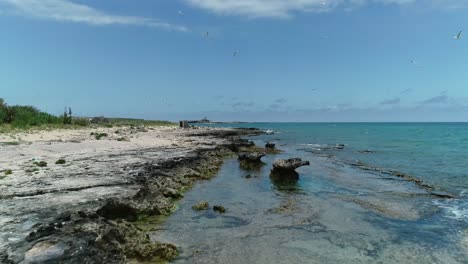 drone aéreo rápido en el día soleado de palm island beach, líbano, retírese