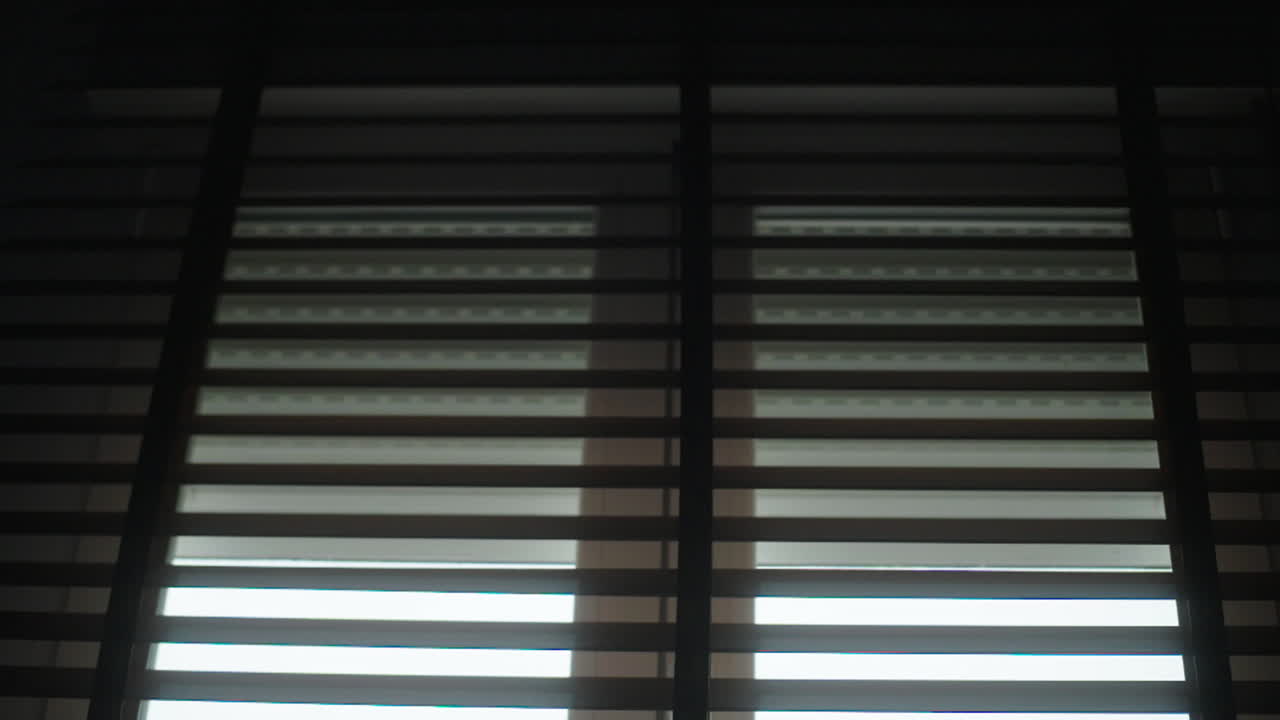 Window with Blinds