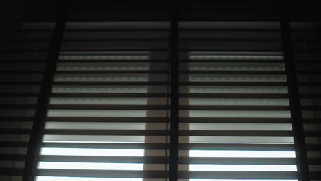 window with blinds