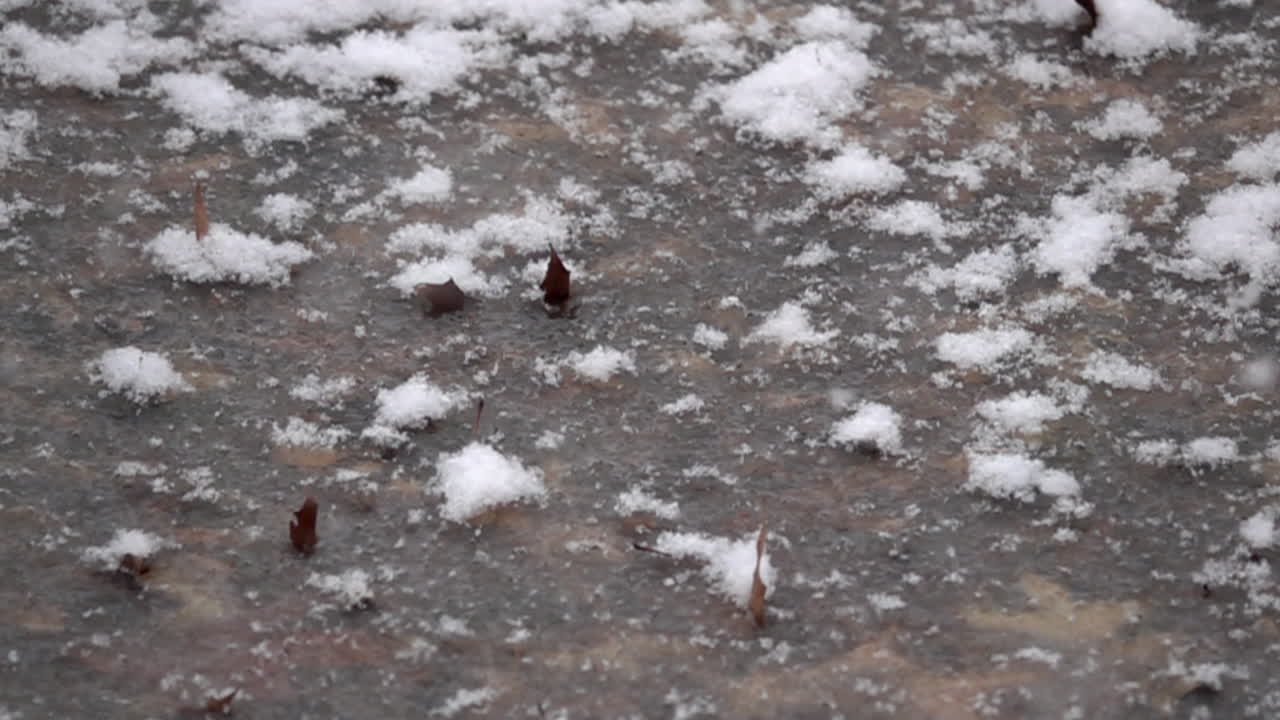 푹신한 눈이 느린 동작으로 부드럽게 떨어지고 얼어붙은 연못에 쌓입니다.