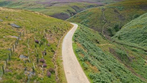 Aerial-footage-of-a-slow-moving-river-stream