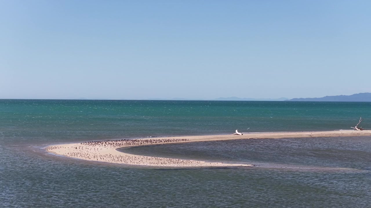 Widok z lotu ptaka na zakrzywioną ławicę piasku otoczoną turkusowymi wodami przybrzeżnymi na Wyspie Południowej Nowej Zelandii. Spokojny krajobraz oceaniczny z minimalistycznym krajobrazem i atmosferą odległej wyspy.