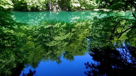 blue sky reflects on a beautiful green fresh forest lake