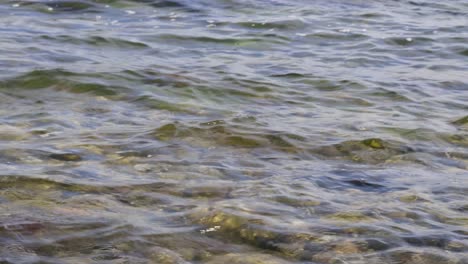 Acantilados-De-Tiza-En-Ruegen-Rügen-En-Alemania,-Mecklemburgo-Vorpommern-En-Un-Hermoso-Día-Soleado