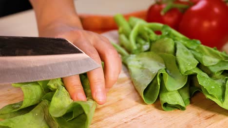 chopping spinach