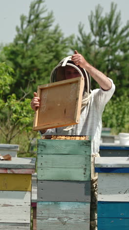male beekeeper open the lid of one beehive at his farm. man in special outfit checks up his apiary. bee farm in the nature backdrop. vertical video
