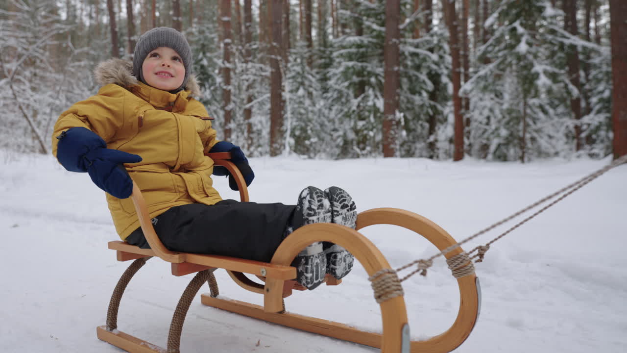Glad, lubben smårolling sitter i en trekjelke og smiler på en lykkelig dag i skogsparken om vinteren.